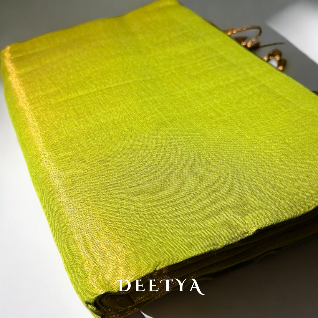 SuryaRaaga Organza Saree